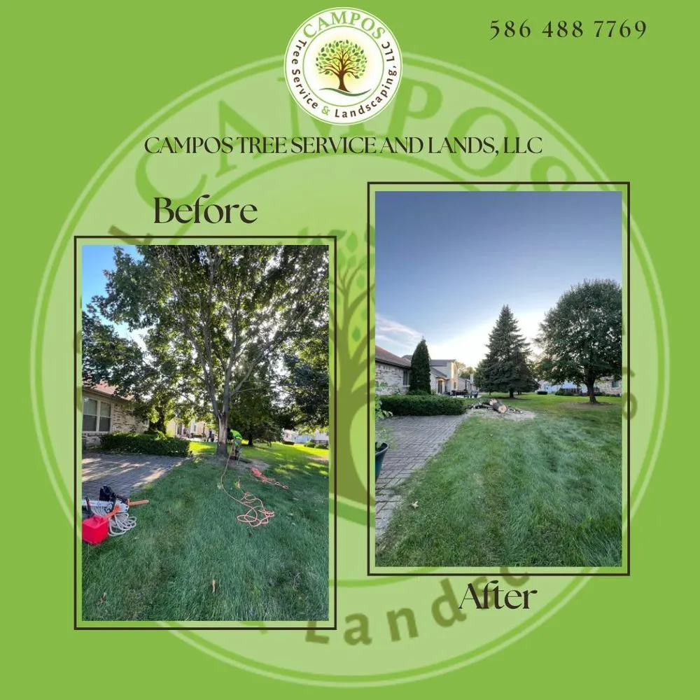 Reliable landscape installation near you across Shelby Township, MI - Campos Tree Service & Landscaping