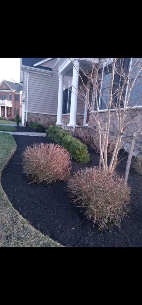 Expert outdoor landscaping in Damascus, MD by Camposervice
