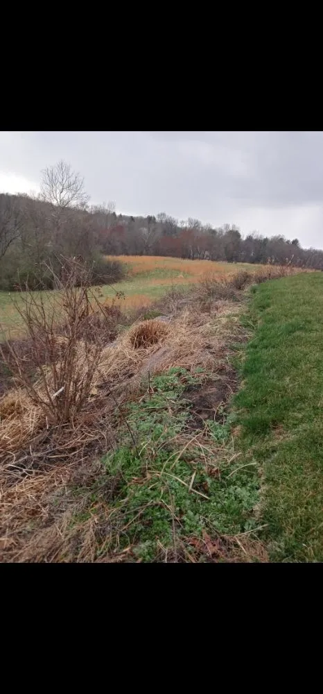 Affordable residential landscaping experts serving Damascus, MD - Camposervice