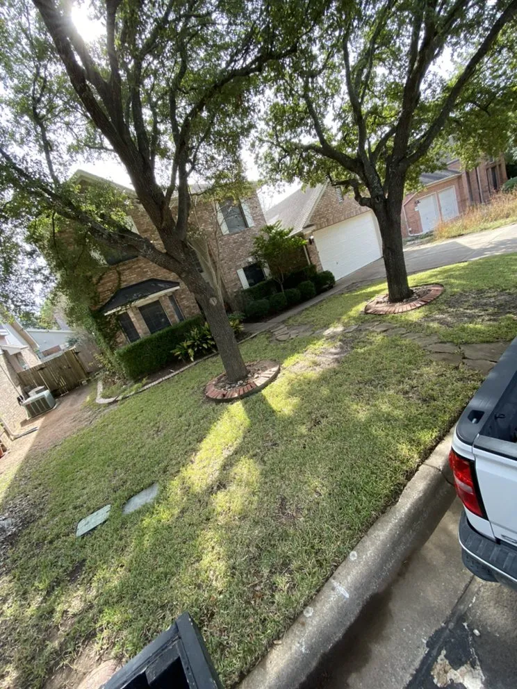 Affordable yard maintenance in Niederwald, TX - Campuzano Landscaping And Tree Trimming