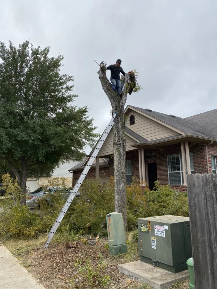 Affordable yard maintenance in Niederwald, TX by Campuzano Landscaping And Tree Trimming