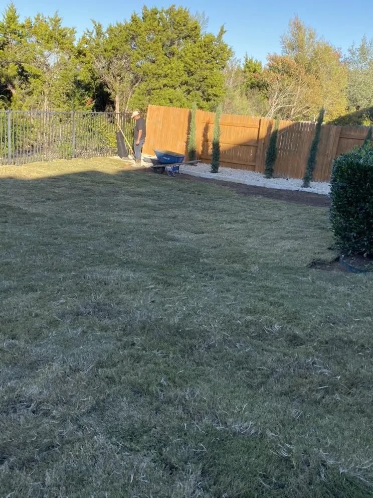 Trusted lawn care service experts serving Niederwald, TX - Campuzano Landscaping And Tree Trimming