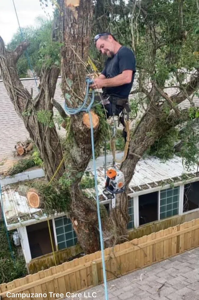 Affordable garden landscaping experts serving Winter Haven, FL - Campuzano Tree Care