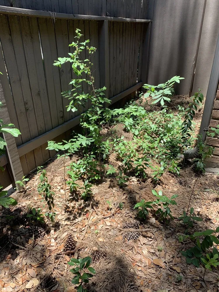 Custom garden landscaping for homes in Houston, TX by Camron's Precision Landscaping Multi Services