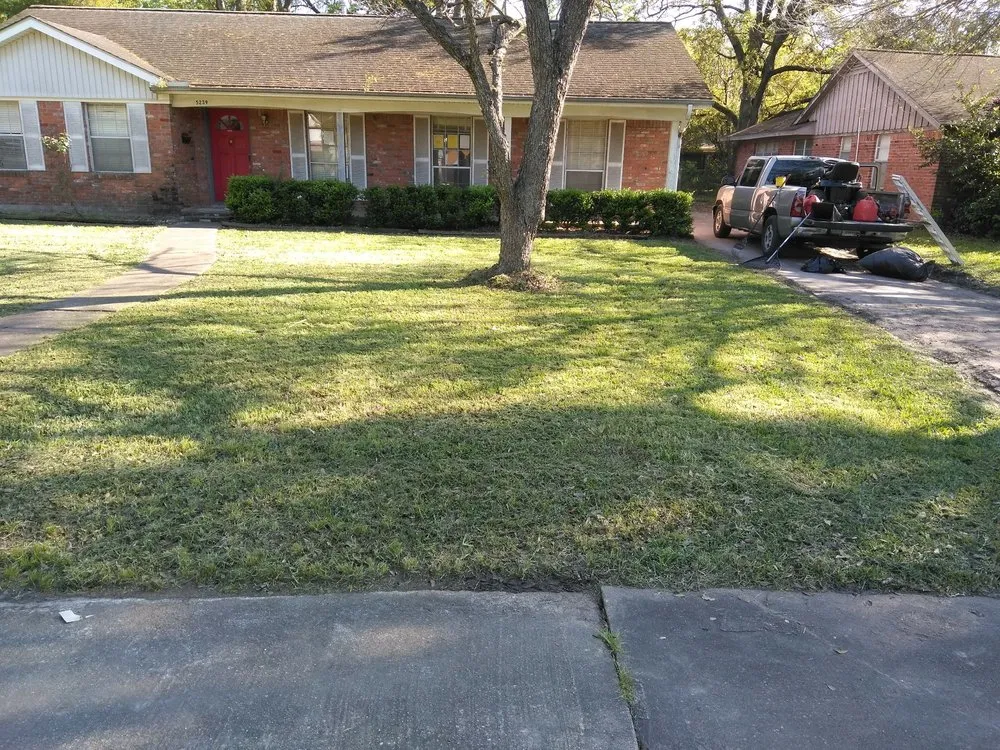 Affordable yard cleanup service in Houston, TX - Camron's Precision Landscaping Multi Services