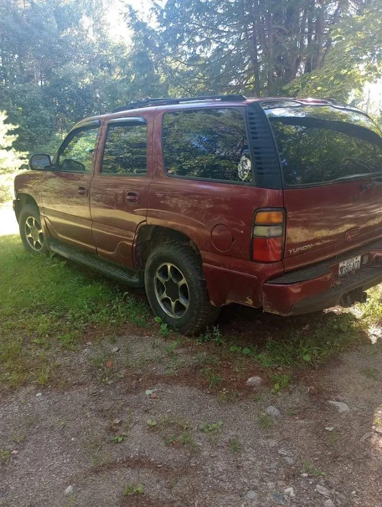 Expert lawn care service experts serving Belfast, ME - CAMS