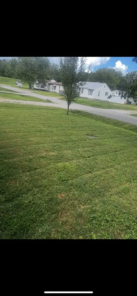 Custom outdoor landscaping for beautiful yards across Evansville, IN - Cams Clean Cuts