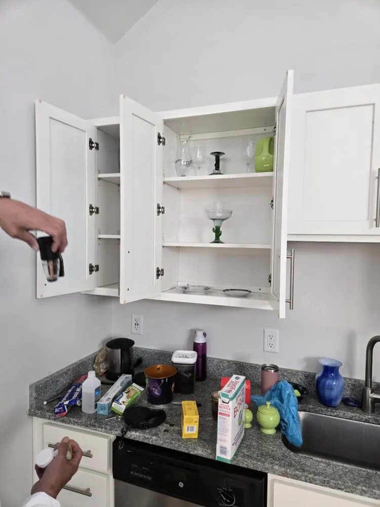 Reliable lawn mowing service in Wilmington, NC by Cam’s Junk Removal