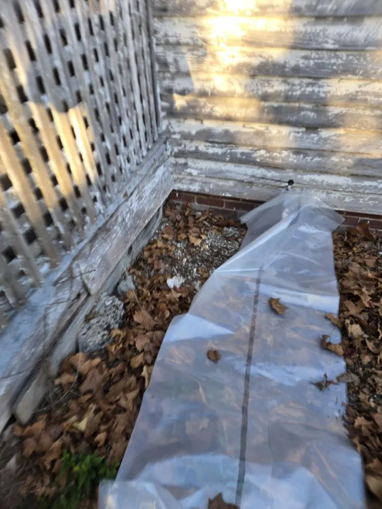 Affordable landscaping services in Wilmington, NC by Cam’s Junk Removal