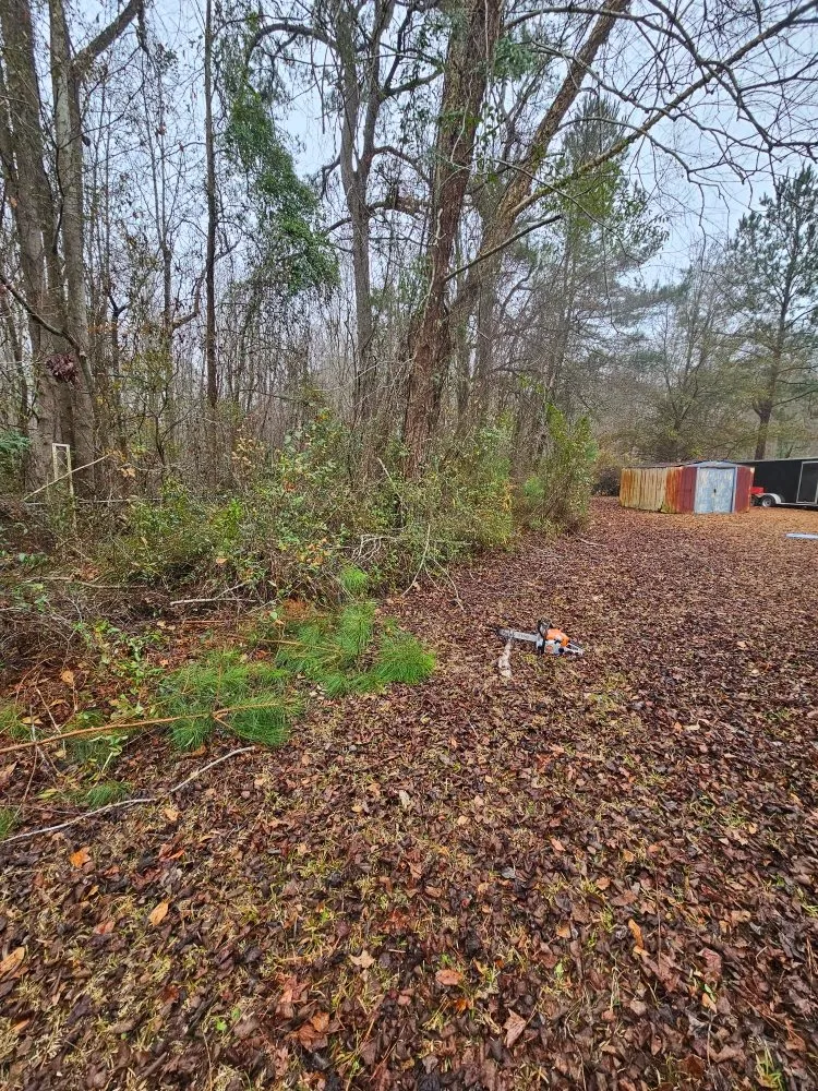 Affordable landscaping services in Wilmington, NC - Cam's Landscaping Services