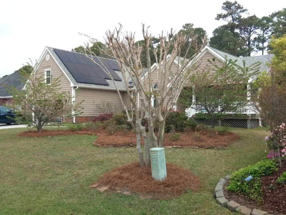 Professional landscape installation in Wilmington, NC by Cam's Landscaping Services