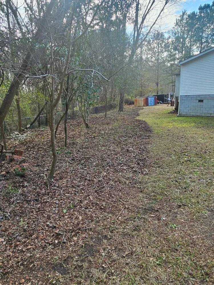 Top-rated landscape design for homes across Wilmington, NC - Cam's Landscaping Services