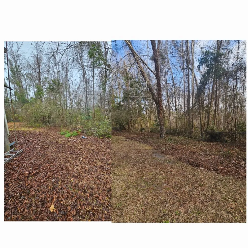 Custom landscape installation in Wilmington, NC - Cam's Landscaping Services