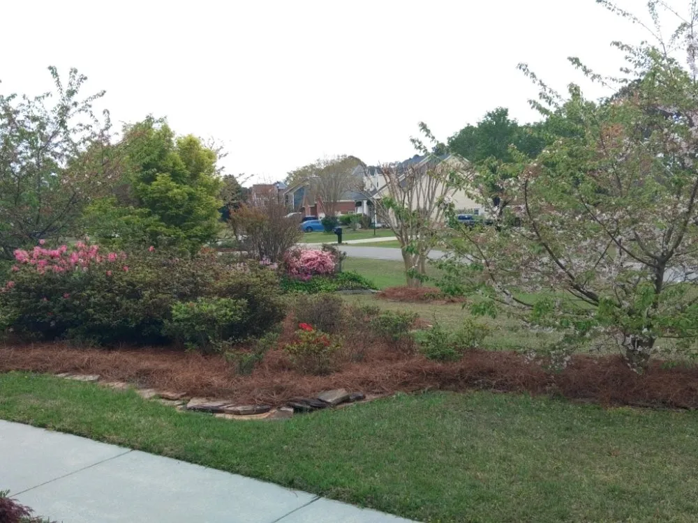 Reliable landscaping services in Wilmington, NC - Cam's Landscaping Services
