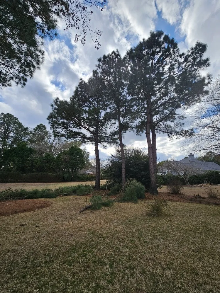 Professional lawn mowing service near you in Wilmington, NC by Cam's Landscaping Services