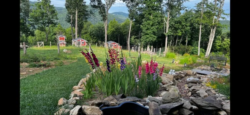 Custom landscaping services in Wilmington, NC - Cam's Landscaping Services