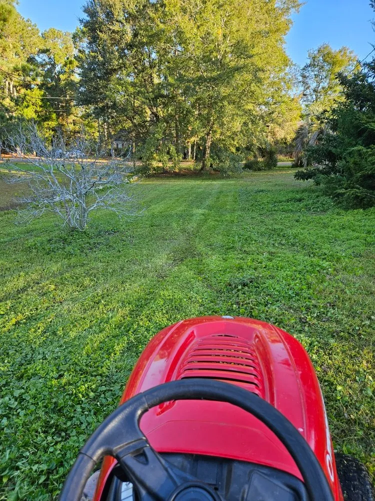 Professional landscape installation in Wilmington, NC - Cam's Landscaping Services