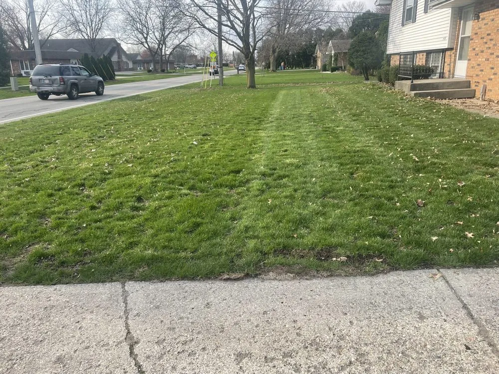 Trusted landscape design experts serving Goshen, IN - Cam’s Lawn Care