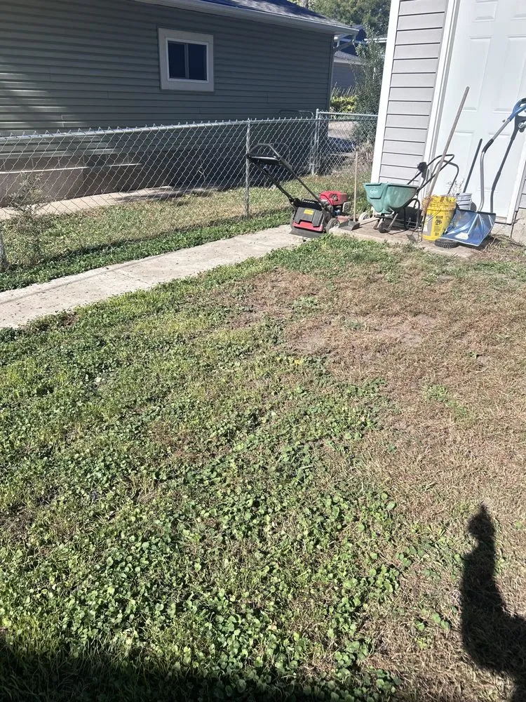 Trusted yard maintenance in St. Paul, MN - Cam’s Lawn Care Services