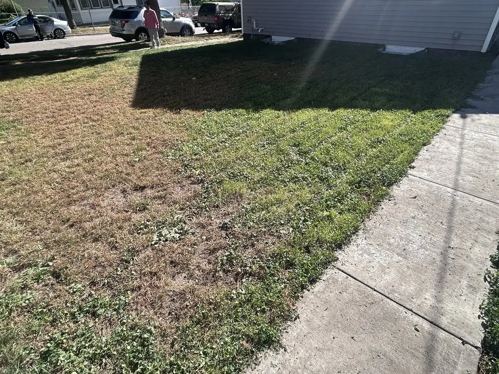 Affordable landscape design experts serving St. Paul, MN - Cam’s Lawn Care Services