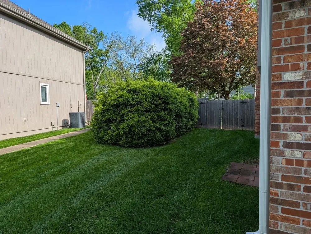 Custom yard cleanup service in Lee's Summit, MO by Cam’s Lawn N’ Haul