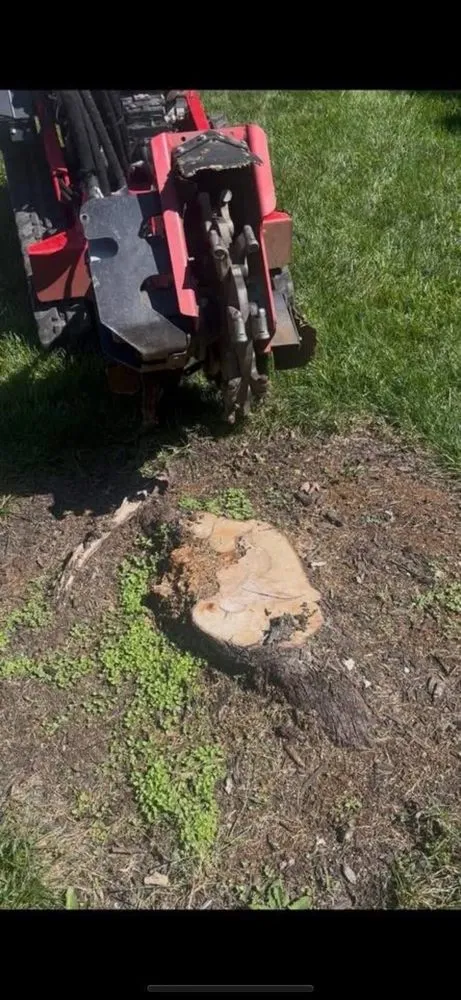 Reliable landscape installation experts serving Lee's Summit, MO - Cam’s Lawn N’ Haul