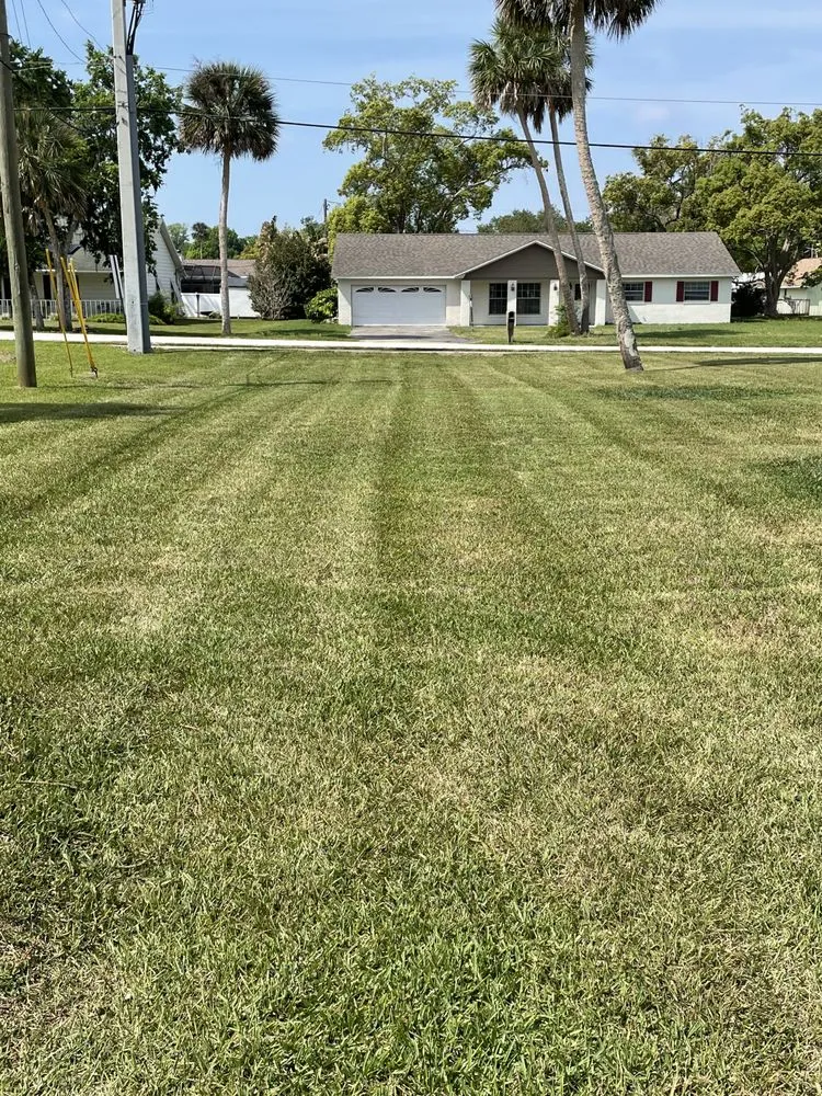 Expert garden landscaping in Port Orange, FL - Cam’s Next Level Cuts