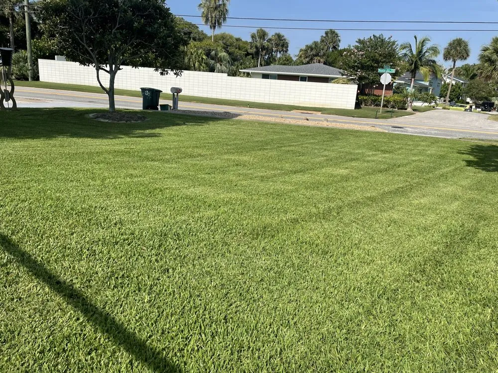 Professional landscape design experts serving Port Orange, FL - Cam’s Next Level Cuts