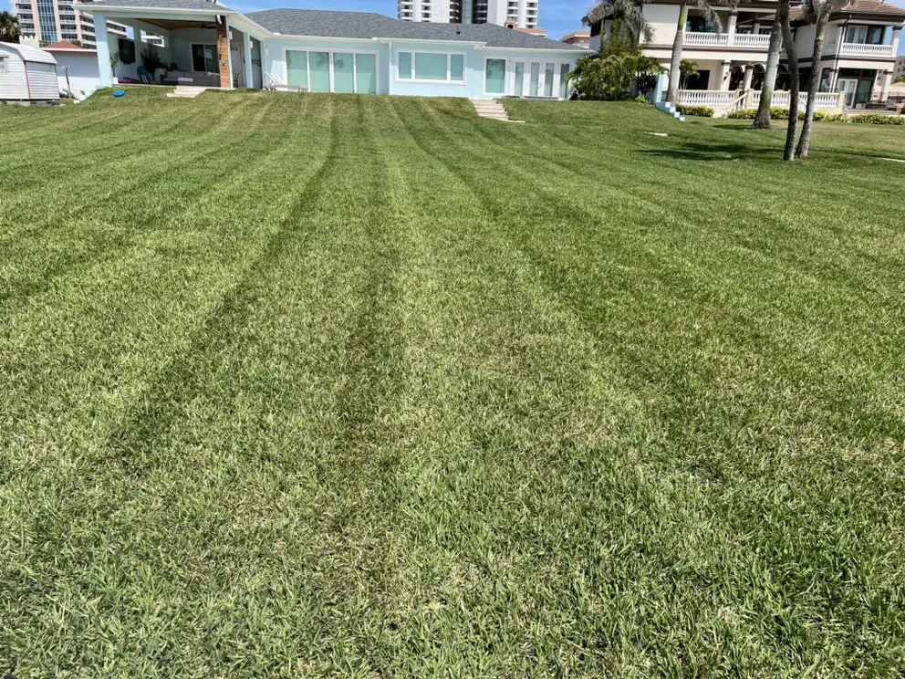 Custom garden landscaping experts serving Port Orange, FL - Cam’s Next Level Cuts