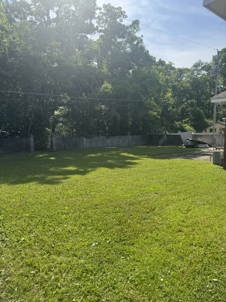 Reliable landscaping services in Savannah, GA - Cam’s