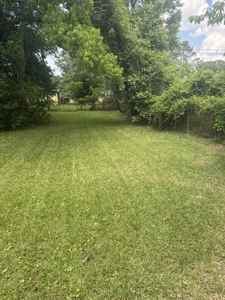 Affordable yard cleanup service experts serving Savannah, GA - Cam’s