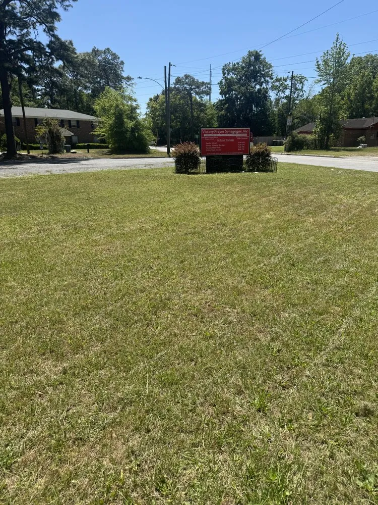 Professional landscaping services in Savannah, GA - Cam’s