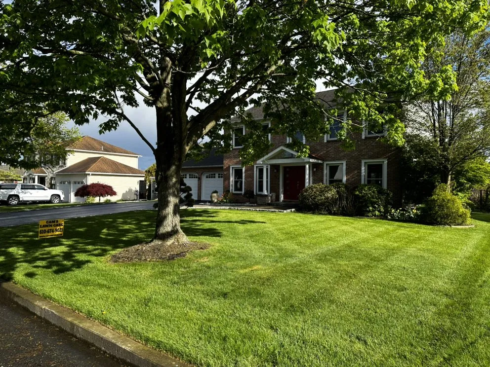 Expert residential landscaping with custom design in Bethlehem, PA by Cam's Services