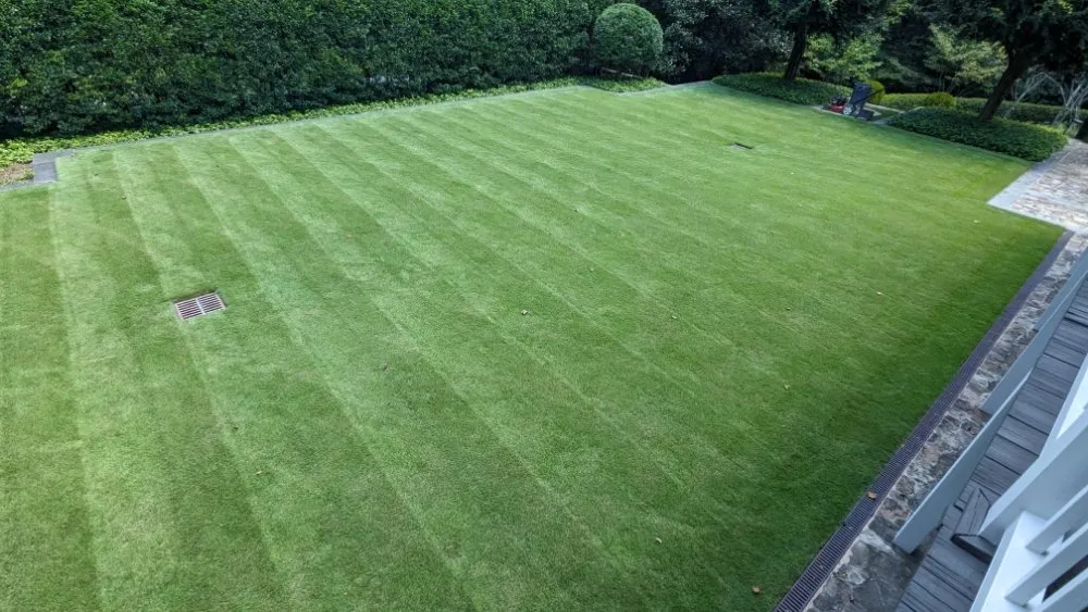 Trusted yard cleanup service with custom design across Mableton, GA - Cams Turn of Events