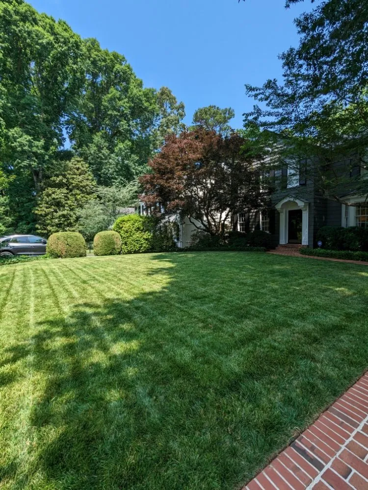 Custom landscape installation experts serving Mableton, GA - Cams Turn of Events