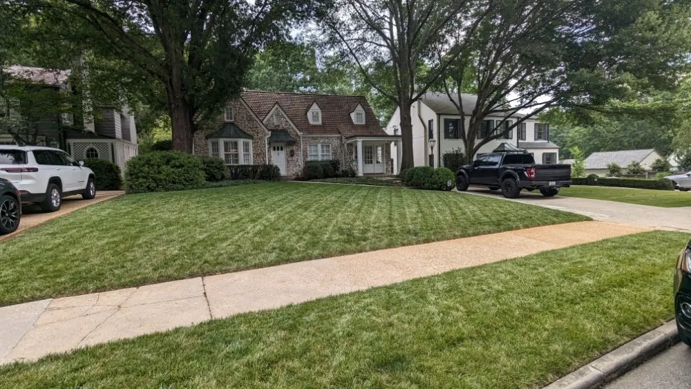 Expert lawn care service experts serving Mableton, GA - Cams Turn of Events