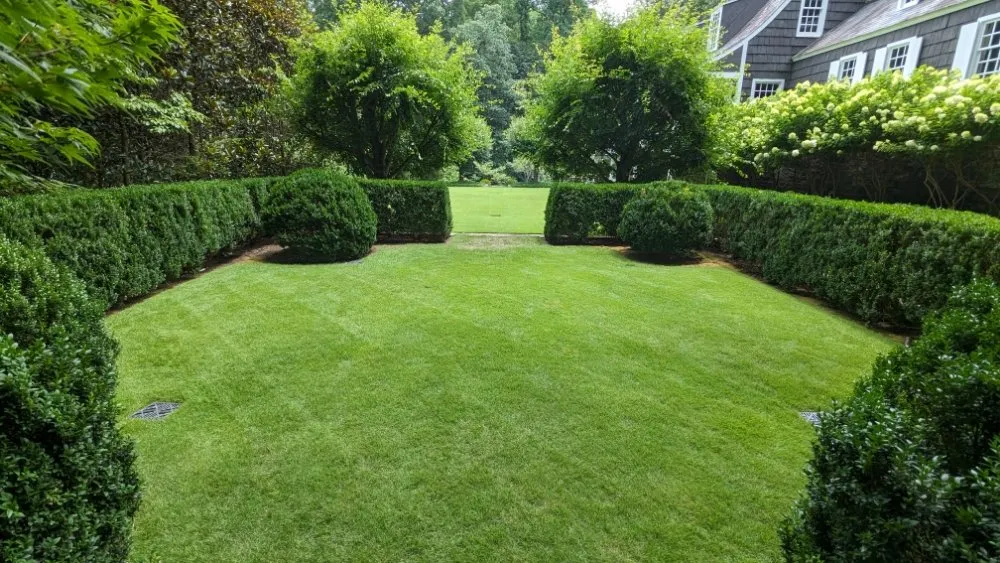 Affordable lawn care service for year-round maintenance in Mableton, GA by Cams Turn of Events