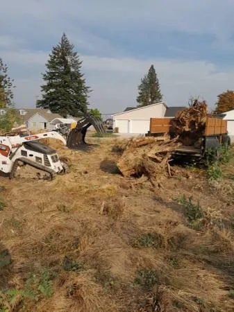 Local yard cleanup service for outdoor upgrades across Atlanta, GA - Camvie Services