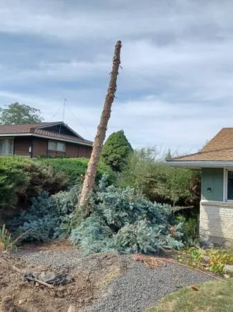 Expert yard cleanup service in Atlanta, GA by Camvie Services