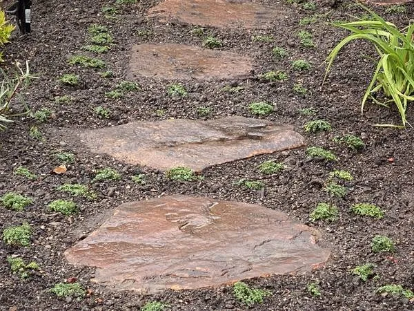 Trusted outdoor landscaping experts serving Atlanta, GA - Camvie Services