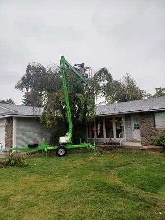 Affordable landscape design with custom design in Atlanta, GA by Camvie Services