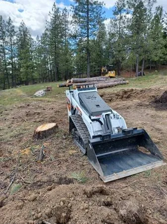 Custom landscaping services for year-round maintenance across Atlanta, GA - Camvie Services