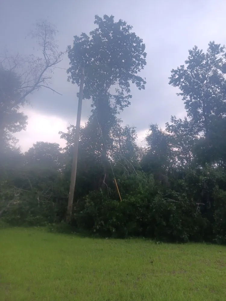 Affordable outdoor landscaping in Wrightsville, GA by Can Do It Tree & Yard Clean Up