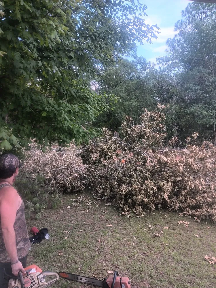 Top-rated yard cleanup service in Wrightsville, GA by Can Do It Tree & Yard Clean Up