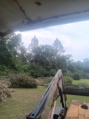 Can Do It Tree & Yard Clean Up