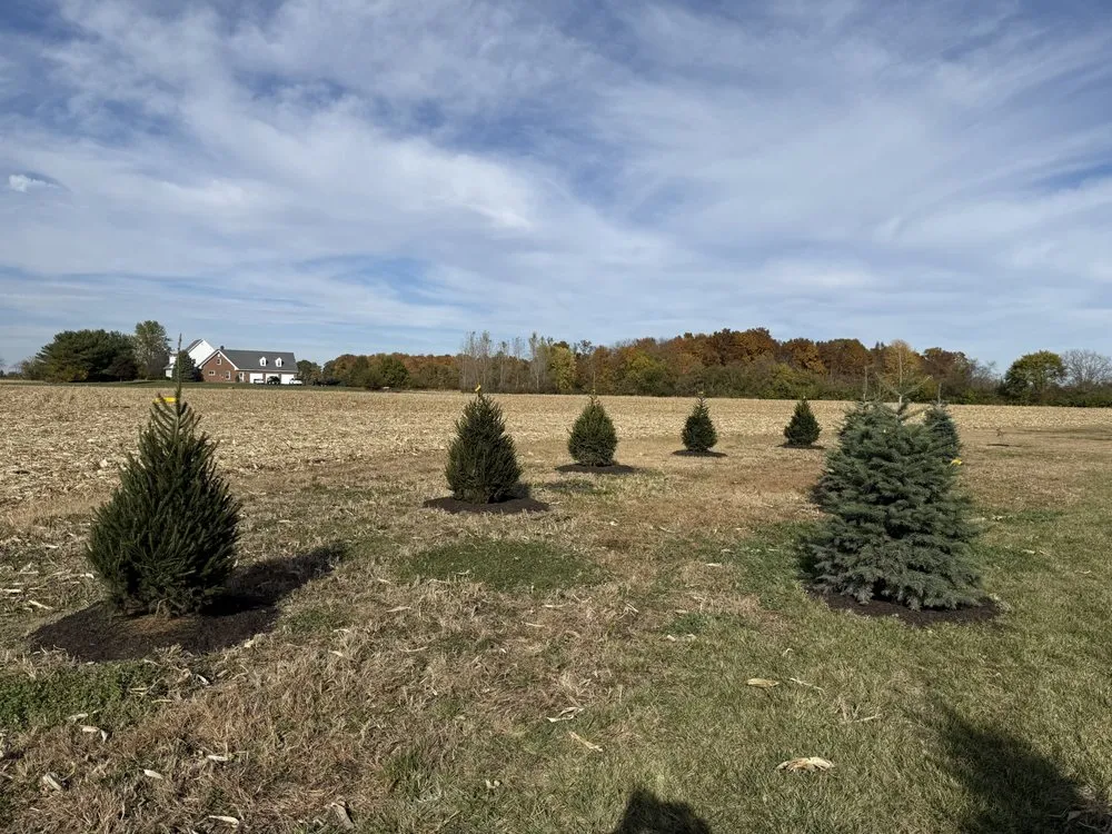 Top-rated lawn mowing service near you across Noblesville, IN - Can U Dig It Nursery