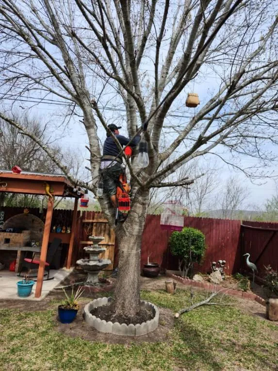 Reliable landscape design experts serving San Antonio, TX - Can You Mow My Lawn Please