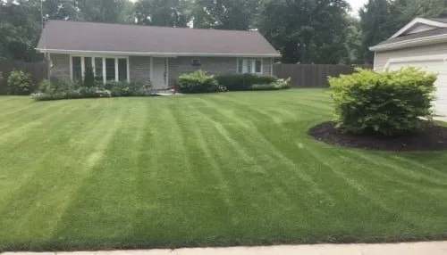 Professional yard maintenance in San Antonio, TX by Can You Mow My Lawn Please