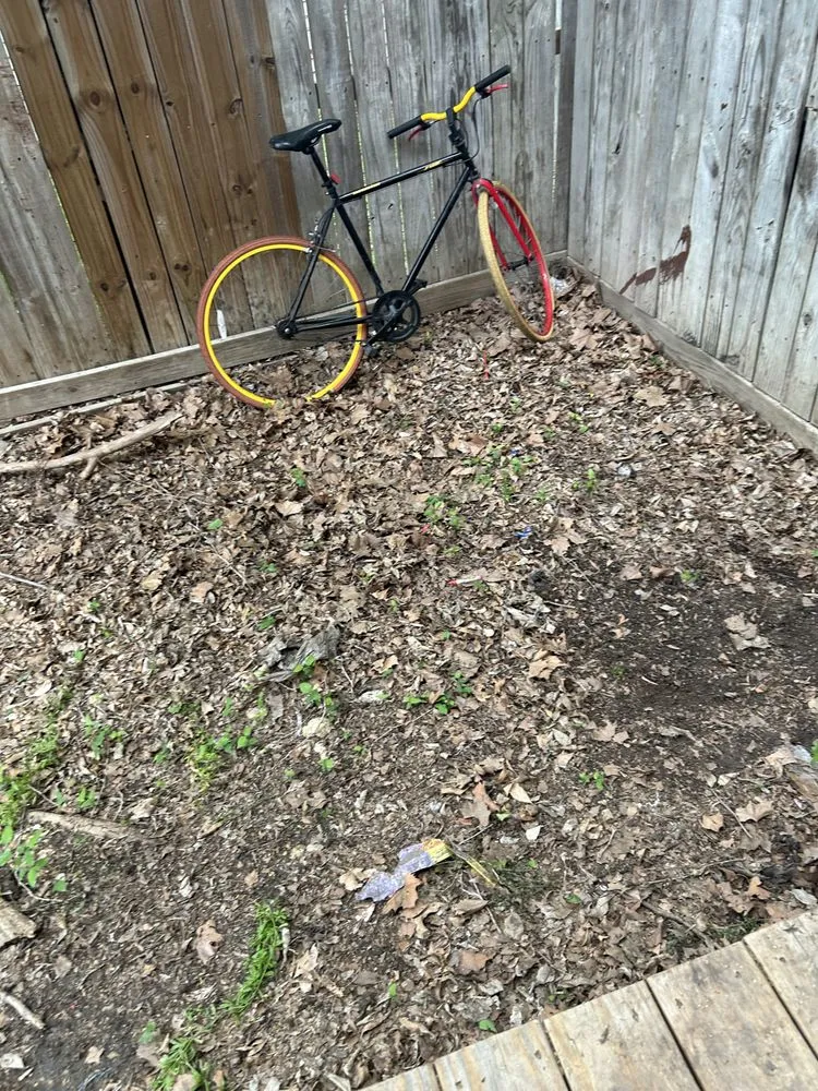 Expert yard maintenance for year-round maintenance in San Antonio, TX by Can You Mow My Lawn Please