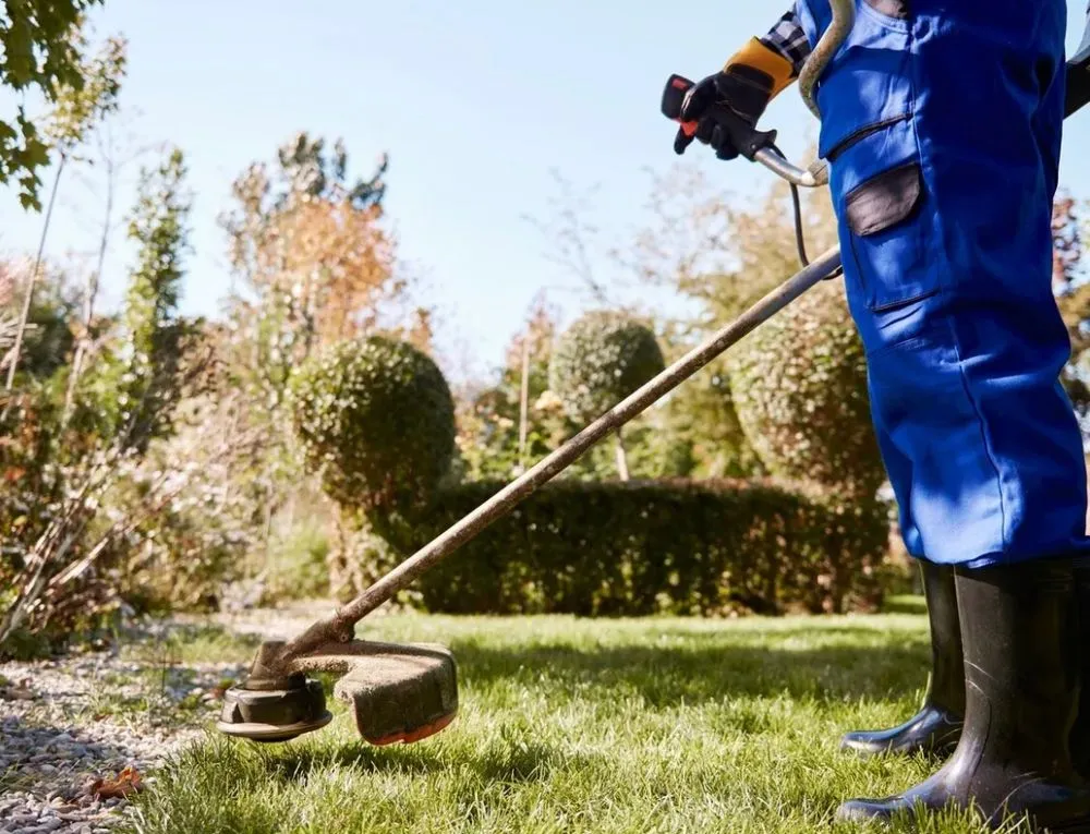 Top-rated yard maintenance near you in San Antonio, TX by Can You Mow My Lawn Please